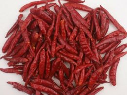 RED CHILLI