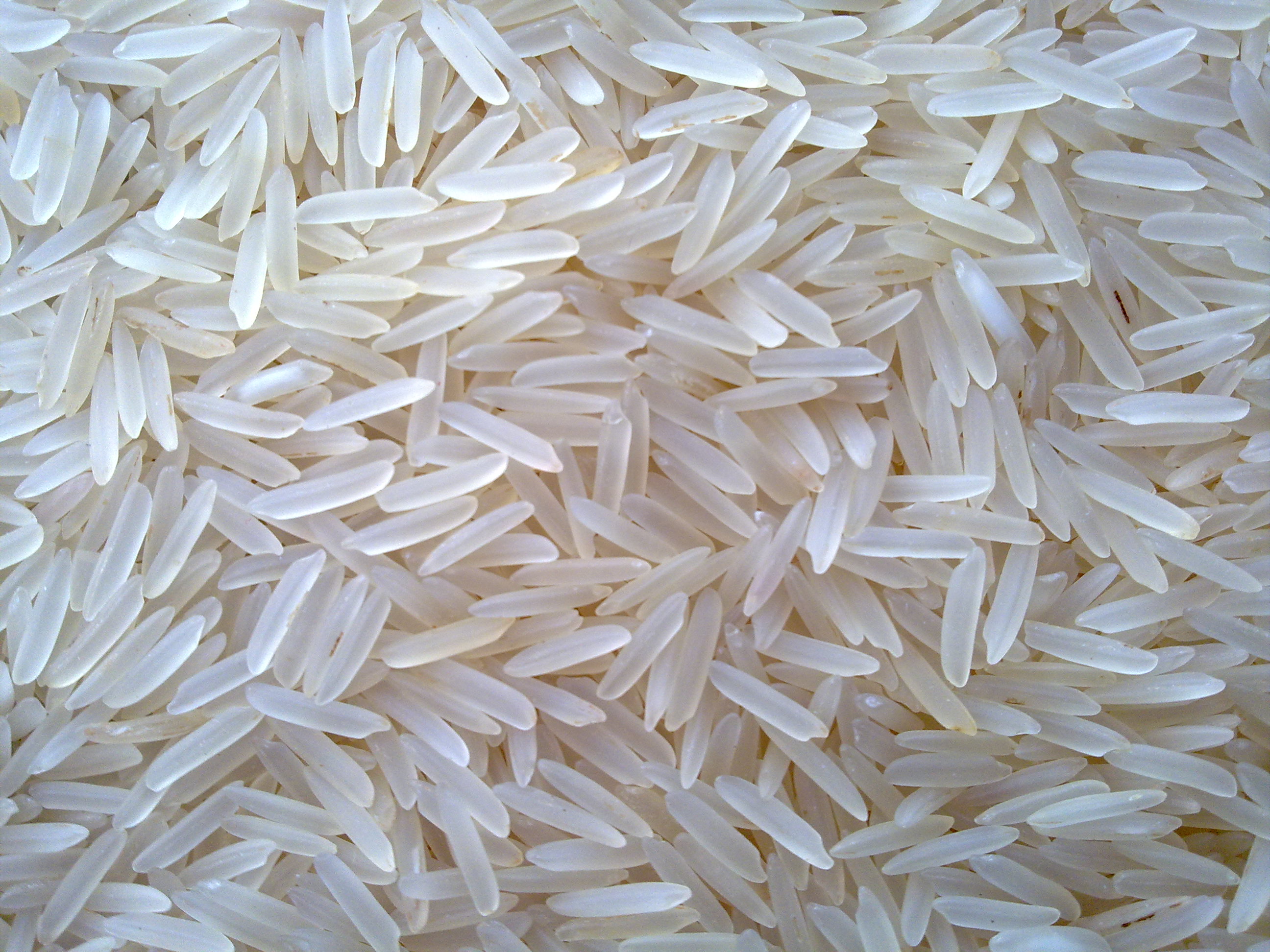 RICE1