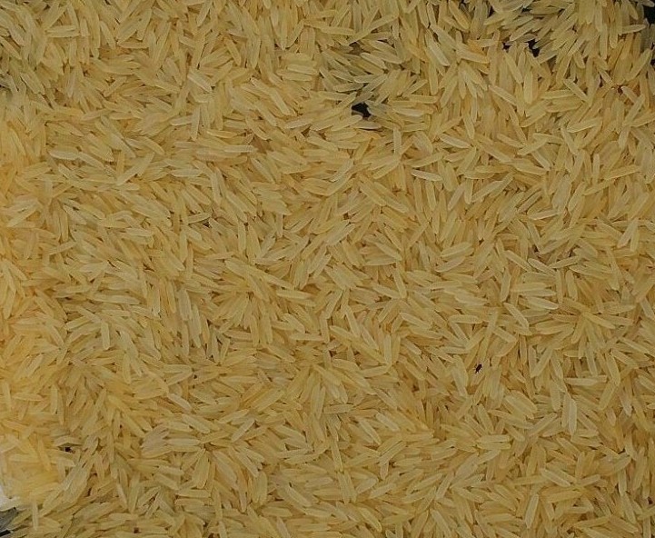 RICE2