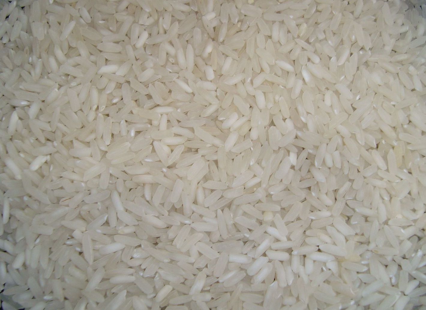 RICE4